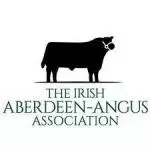 Irish Aberdeen angus.jfif